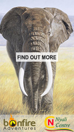 Image of banner